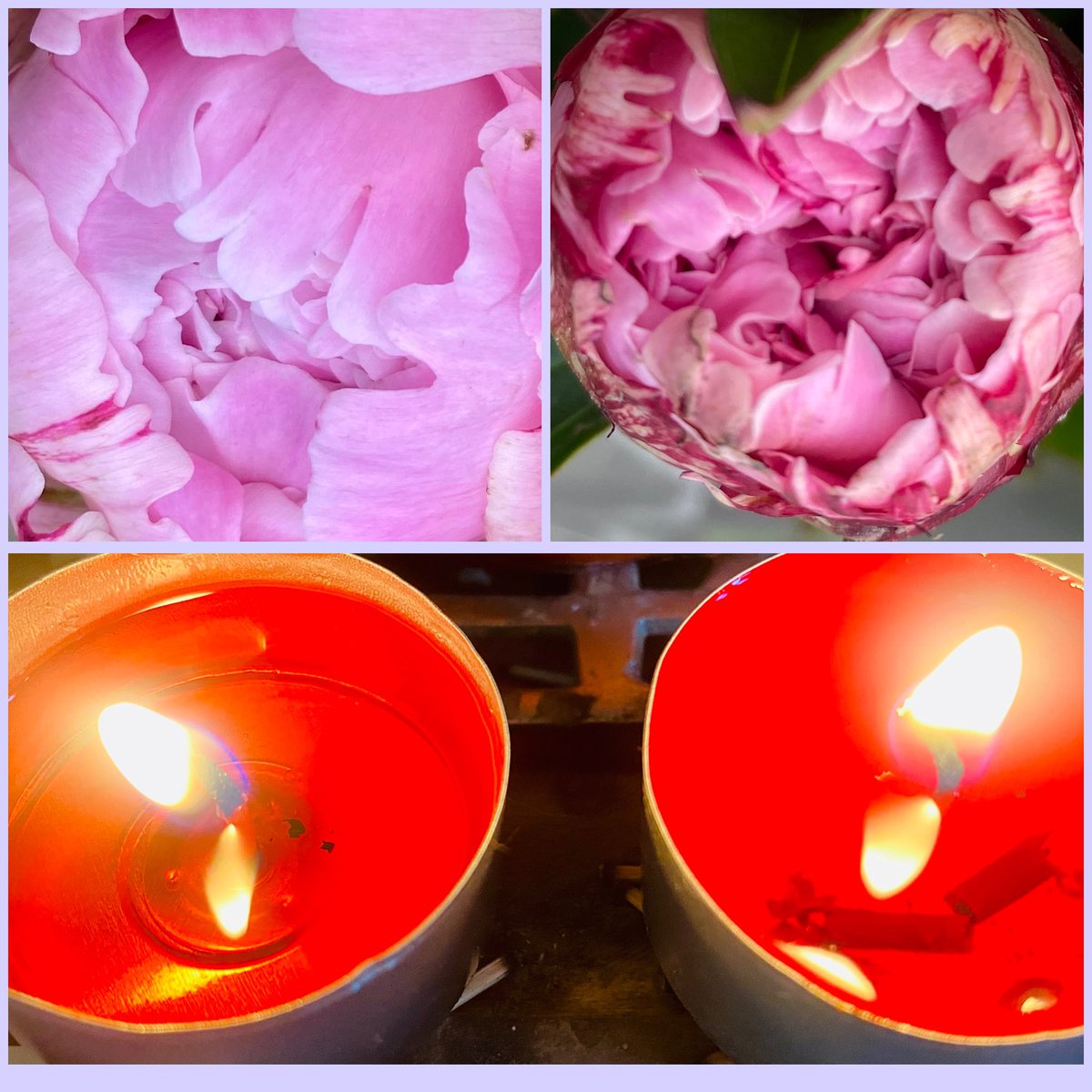 JudeMckerrecher's tweet image. Today is a day to dedicate for mum, on her Birthday, to be grateful &amp;amp; give thanks for everything, all Birthdays &amp;amp; #tinymomentsofjoy🫶🪷Flowers for others; the light she gave; for kindness &amp;amp; love. A mum at 17, forever celebrated &amp;amp; cherished; a video from Grace she made about Paris
