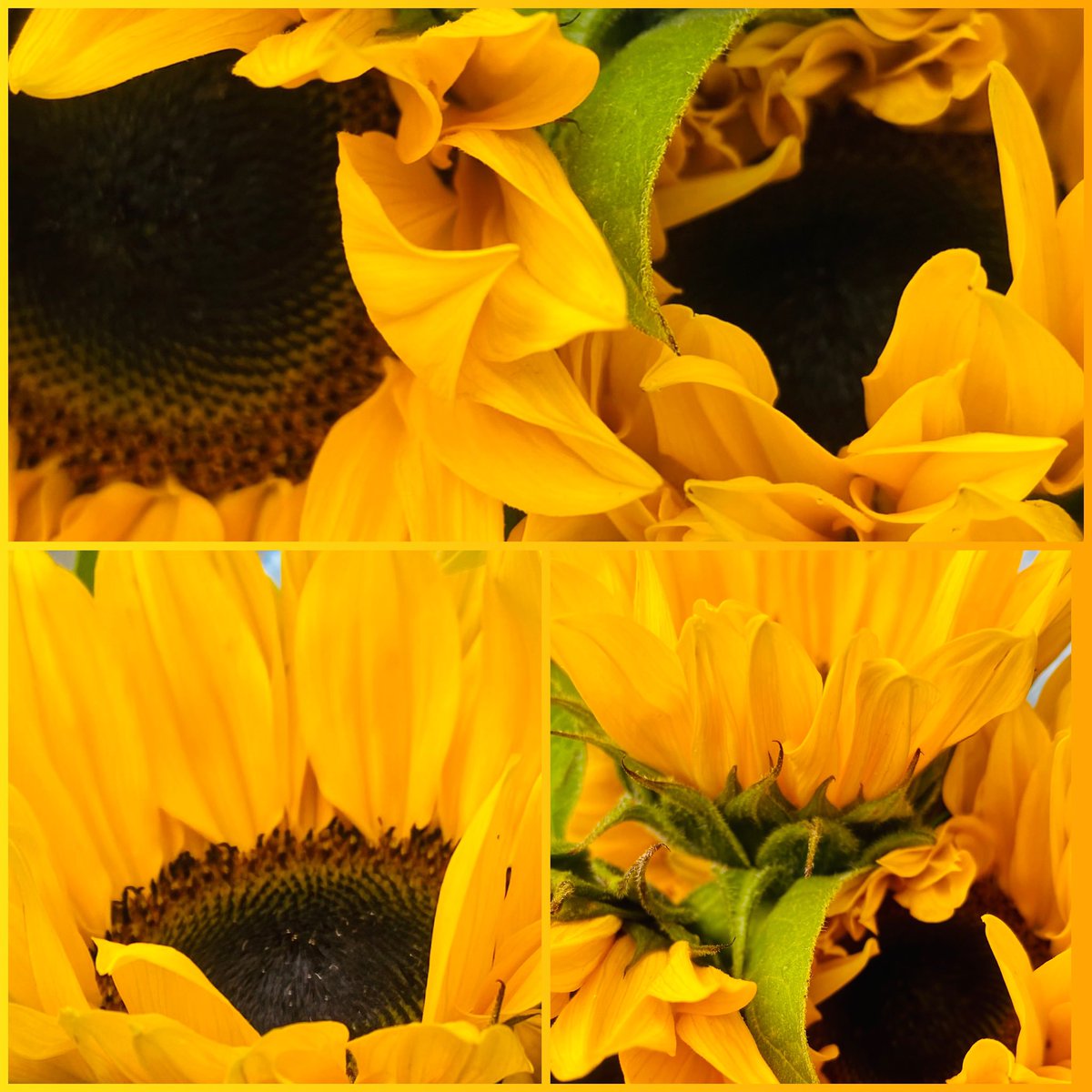 JudeMckerrecher's tweet image. Today is a day to dedicate for mum, on her Birthday, to be grateful &amp;amp; give thanks for everything, all Birthdays &amp;amp; #tinymomentsofjoy🫶🪷Flowers for others; the light she gave; for kindness &amp;amp; love. A mum at 17, forever celebrated &amp;amp; cherished; a video from Grace she made about Paris