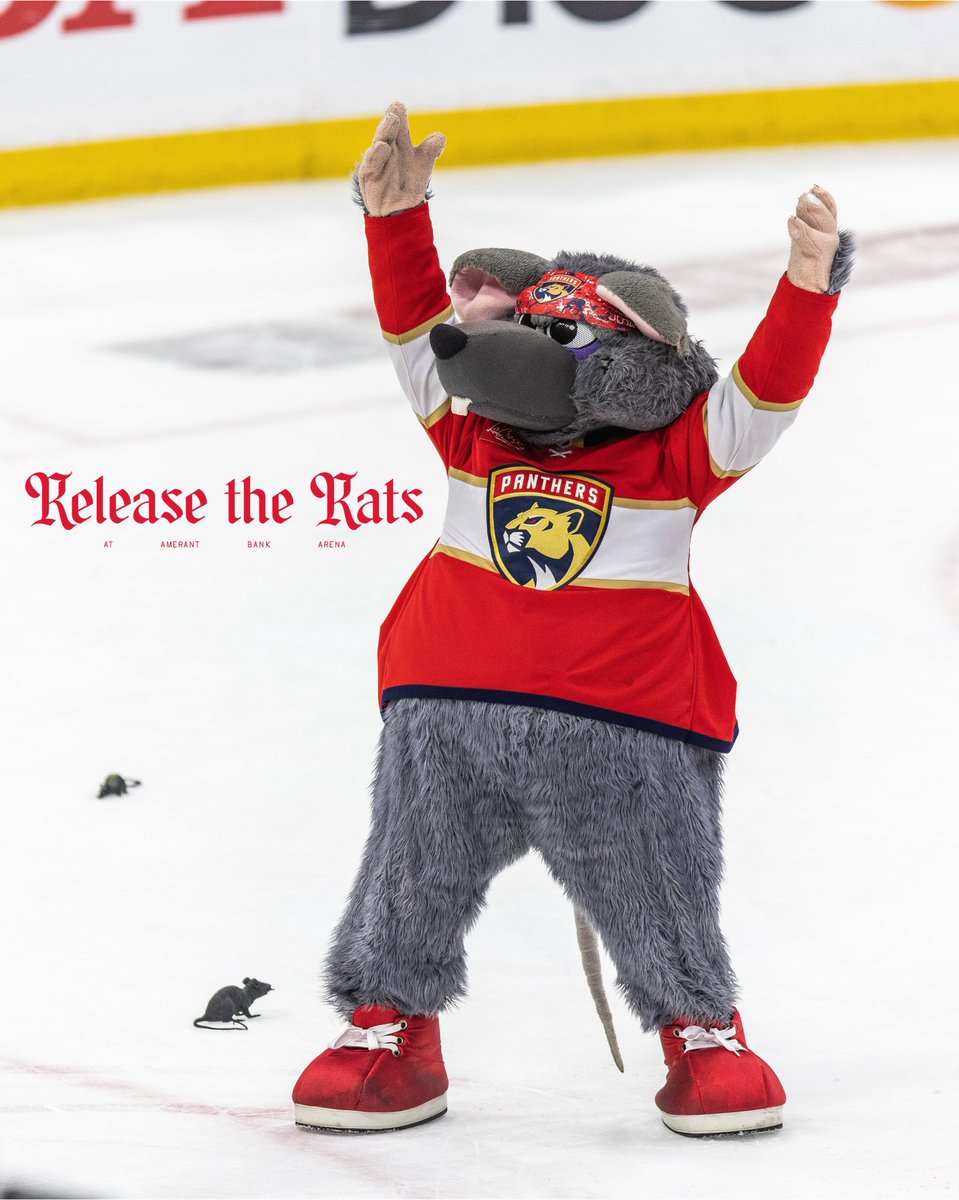 home is where the rats are🐀