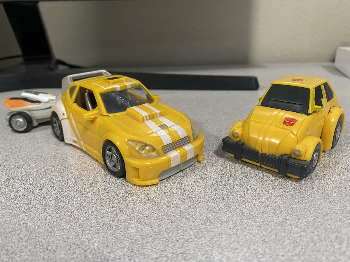 JoshBerryJam's tweet image. Bumblebees