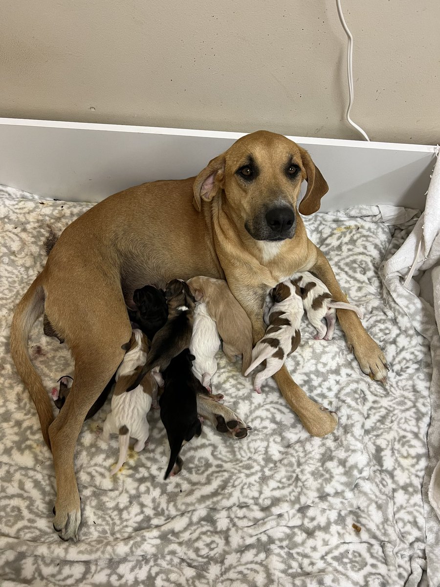 Catturd ™ tweet media