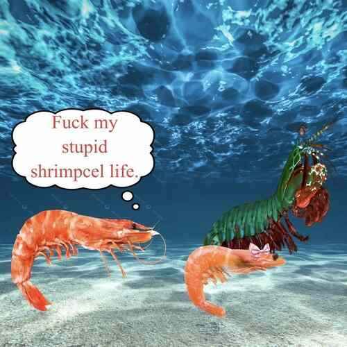 <a href="/imnothing_333/">shala</a> <a href="/wiftyNA/">WIFTY!! ☾</a>