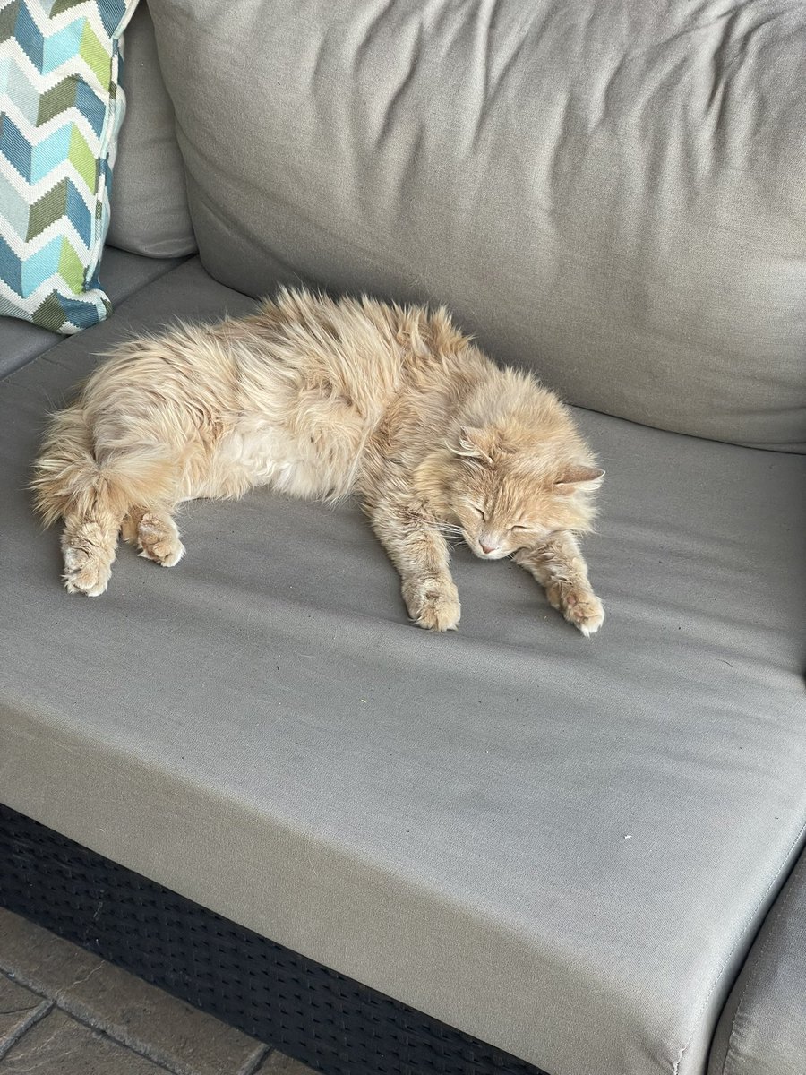 Ballyneal
Holyoke, CO

This place is special.