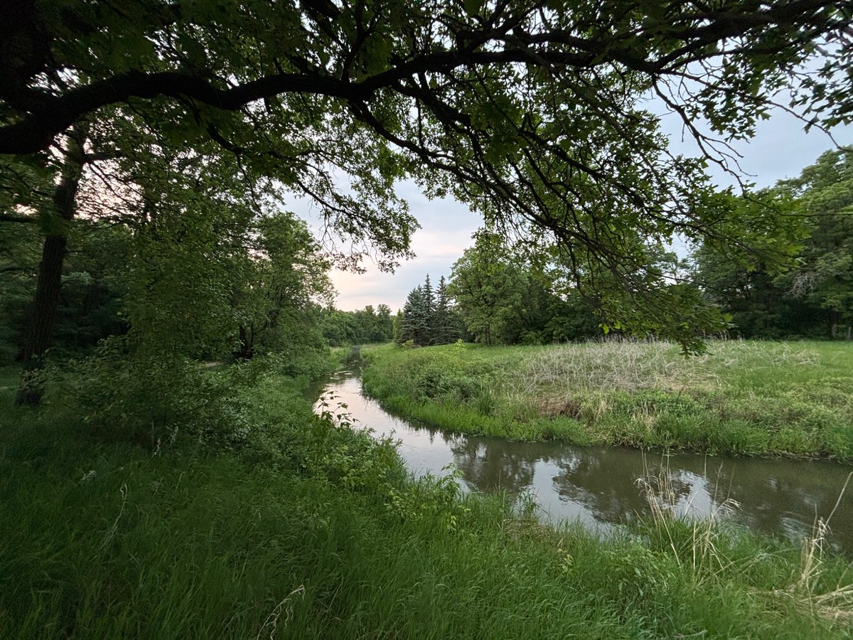 John Longhurst tweet media