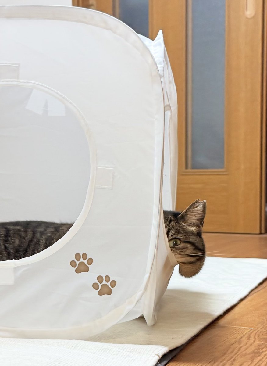 ほっぺが落ちそう