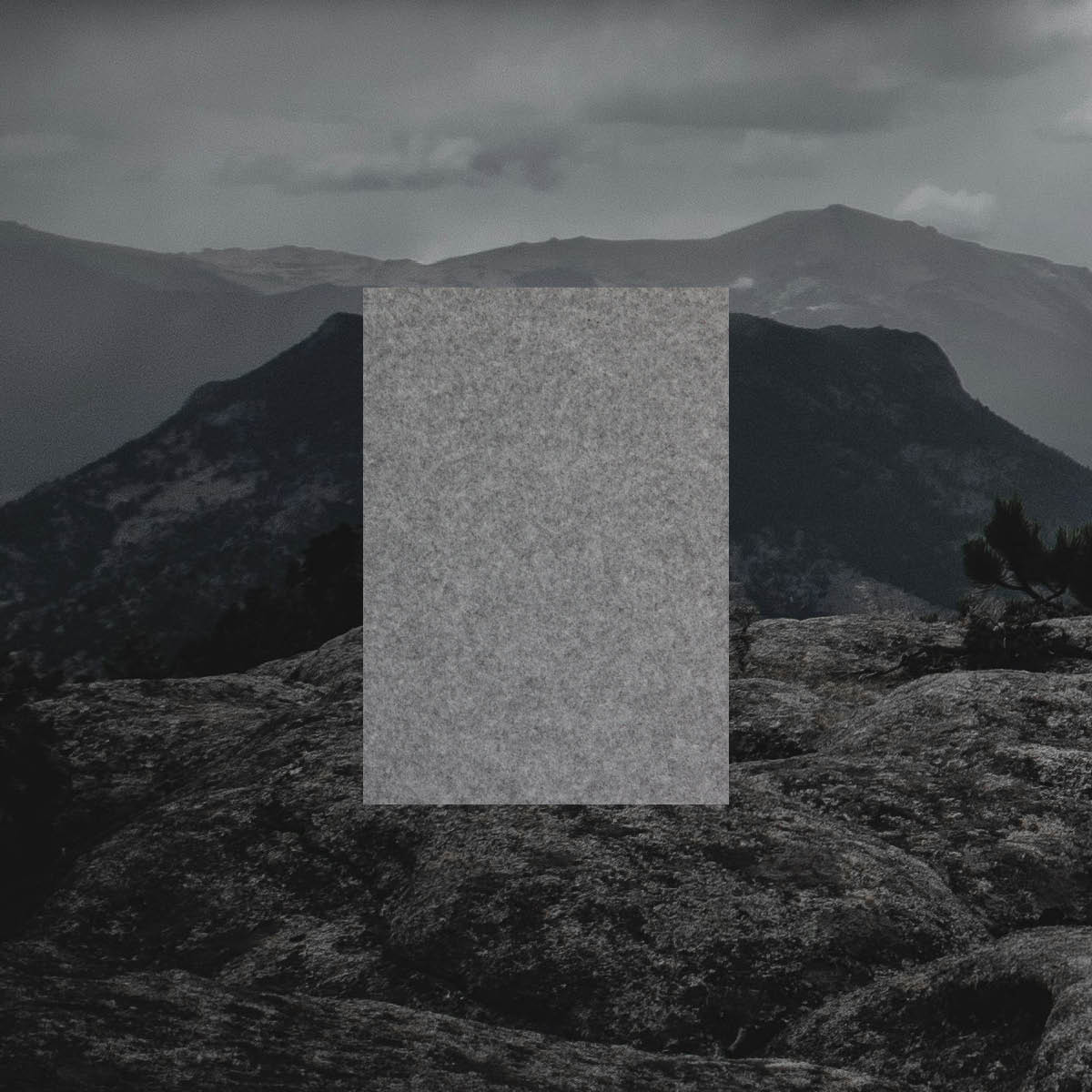 Autex Acoustics tweet media