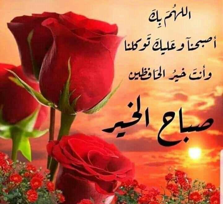 صباح الخير والسعادة على الجميع  .
#صباح_الخير