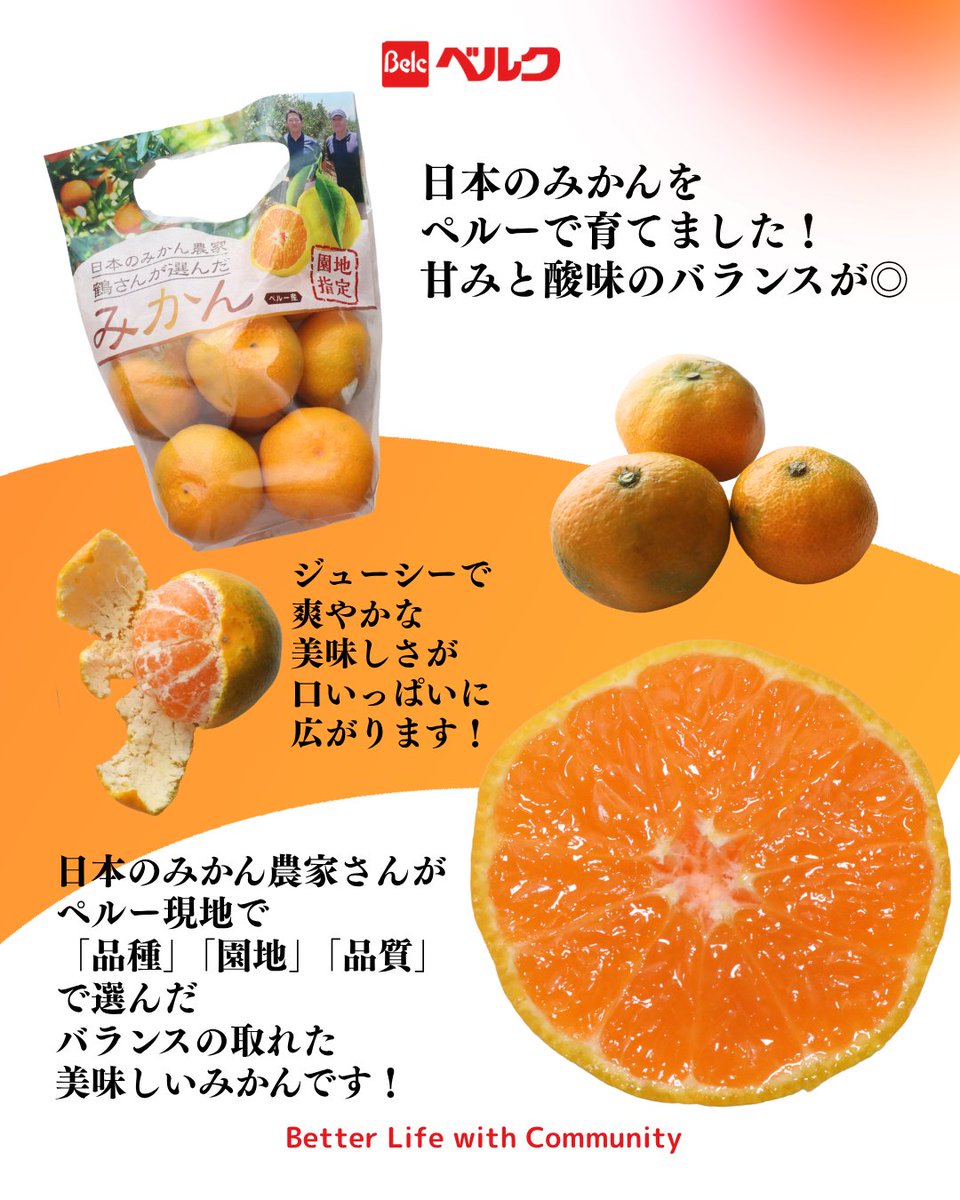 日本のみかん農家さんが現地にて「品種」「園地」「品質」で選んだ