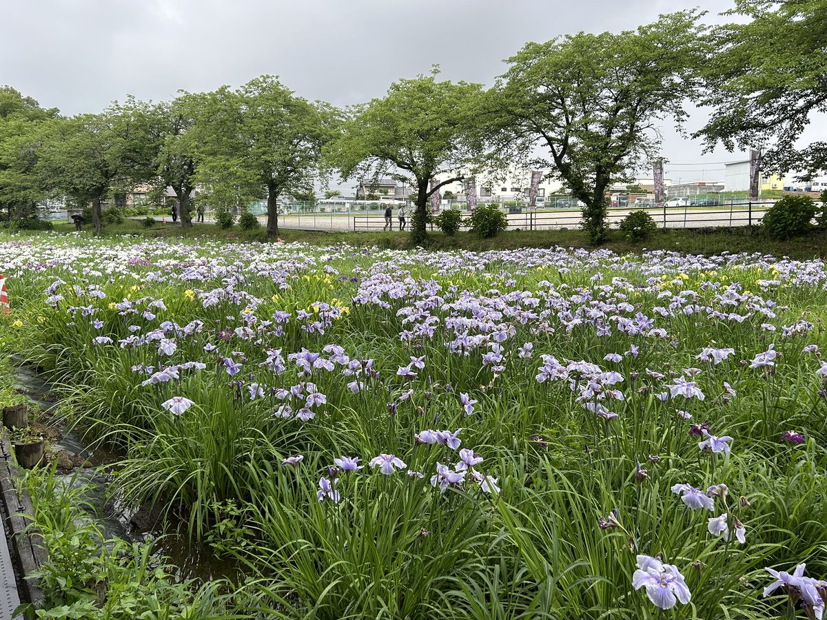 伊勢崎市観光物産協会 (@isesakikankou) / Posts / X