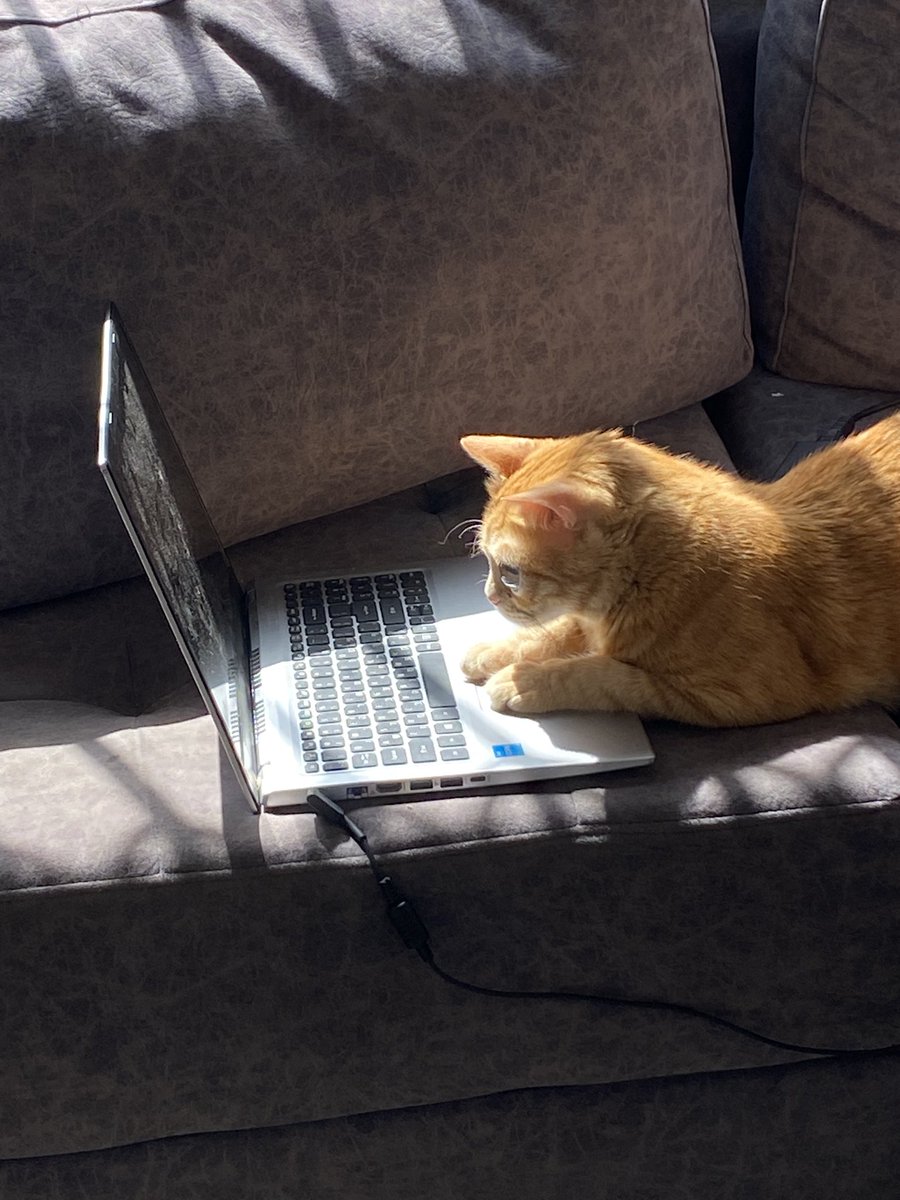 He’s a working man