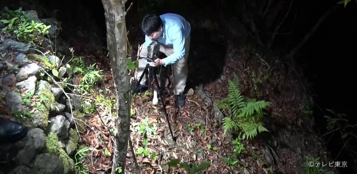 今夜6時25分～
˗ˋ✴︎㊙️#衝撃ファイル ✴︎ˊ˗

連発！ふしぎ映像ʾʾ
┈┈┈┈┈┈┈┈┈
奄美大島の伝説の生物“ケンムン”！
目撃したという住民いわく
その姿は毛むくじゃらで青い目をしていたそう
“ケンムン”は宇宙人なのか？謎に迫る！👾

高橋英樹⭒鈴木紗理奈⭒磯山さやか