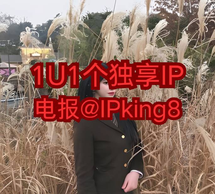 AlexakingB's tweet photo. 👹 🤡 🤖 😧 😯
养号IP https://t.co/AN09jr4J6z