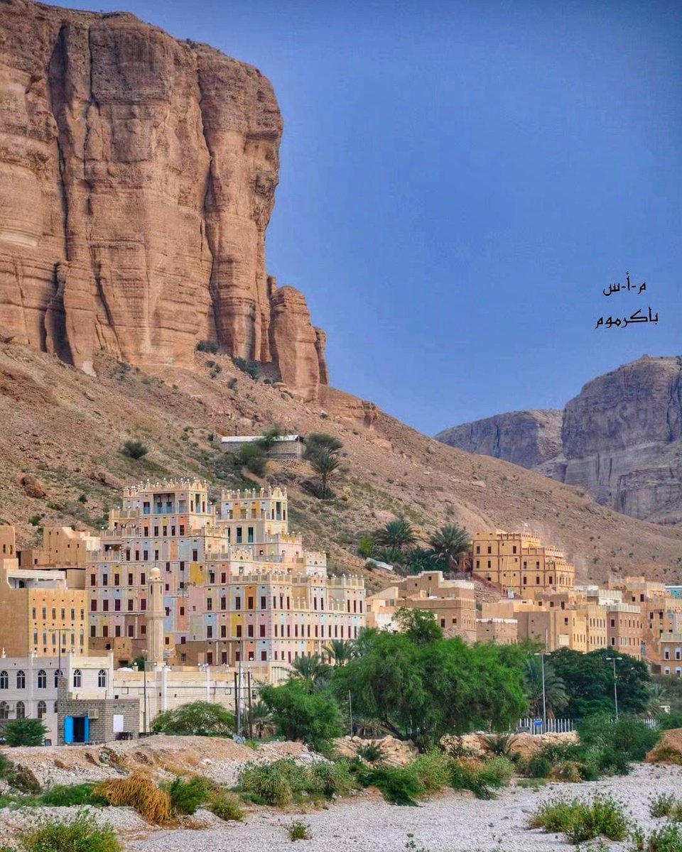 أحمدالنوبي #حضرمي tweet media