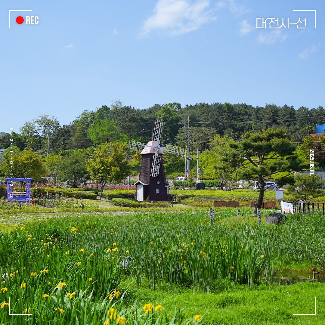 📣대전시-선으로 바라본 대청호 자연수변공원

지금, 대전의 가장 예쁜 순간을 만나보세요.
장미와 꿈돌이가 함께 반겨주는 '대청호 자연수변공원'
꽃길을 따라 걷다 보면 어느새 마음까지 피어납니다.

이번 주말, 대청호 장미 정원은 어떠세요?🌹