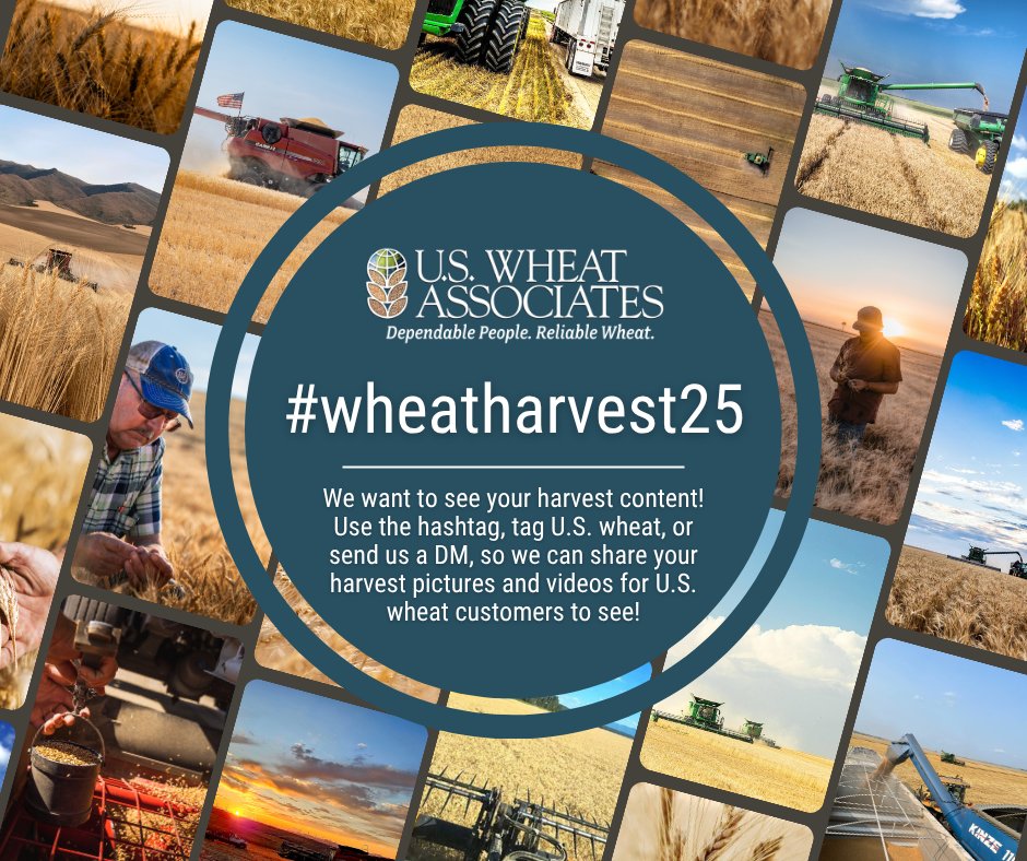 📢 We want to see your harvest pictures and videos!

Use #wheatharvest25, tag <a href="/uswheatassoc/">US Wheat Associates</a>, or DM us to share and update us on your crop! 🌾

We'll share on social media and include some in the weekly harvest report so our customers can follow along.