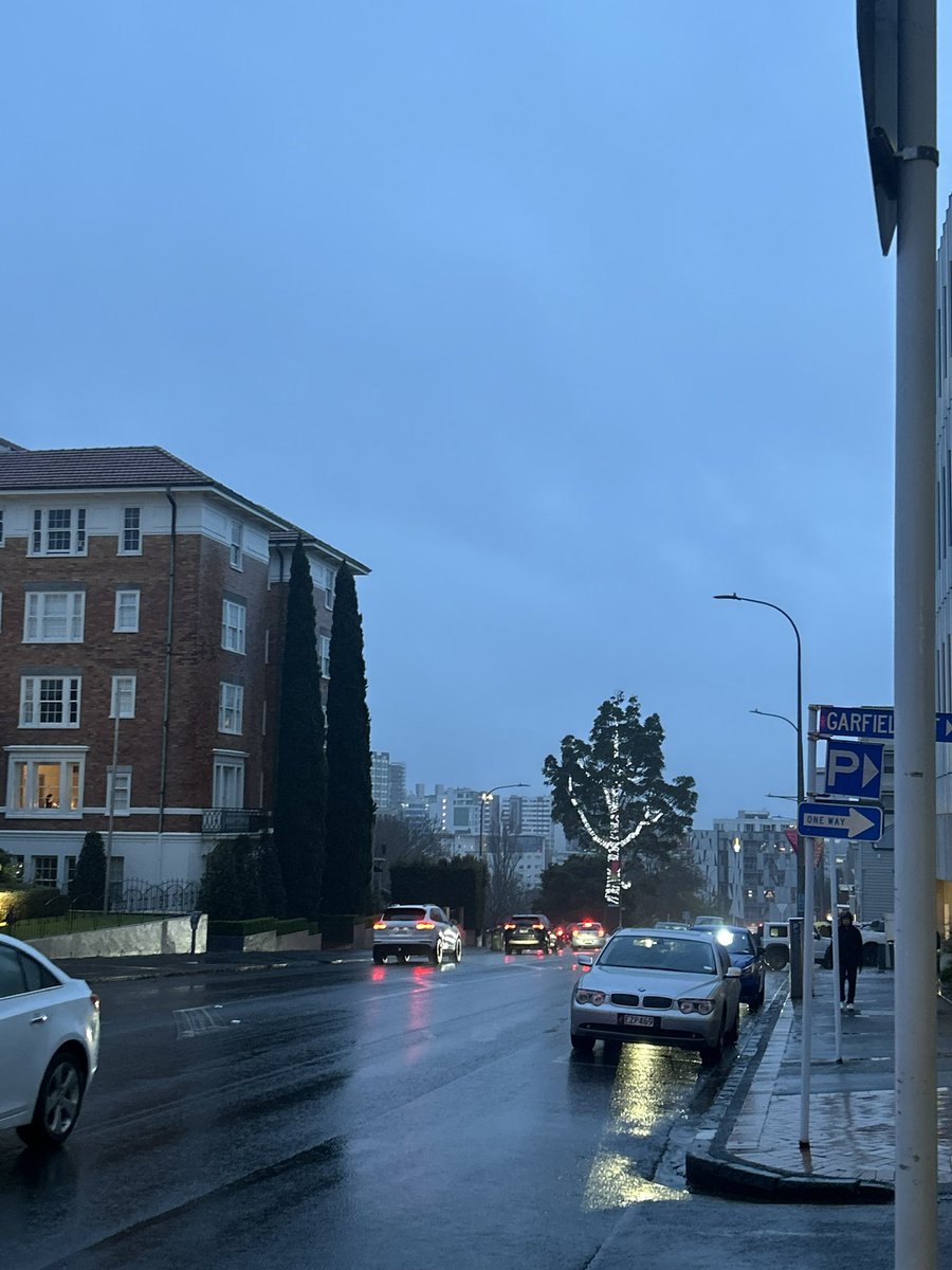 Rainy evening in Parnell ☔️