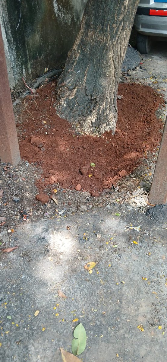 Ward KE BMC (@mybmcwardke) on Twitter photo <a href="/AndheriPeople/">Andheri People 🇮🇳</a> Thank you for sharing to us. Your complaint has been attended. Kindly checkout the photographs attached herewith. <a href="/AndheriPeople/">Andheri People 🇮🇳</a> Thank you for sharing to us. Your complaint has been attended. Kindly checkout the photographs attached herewith.