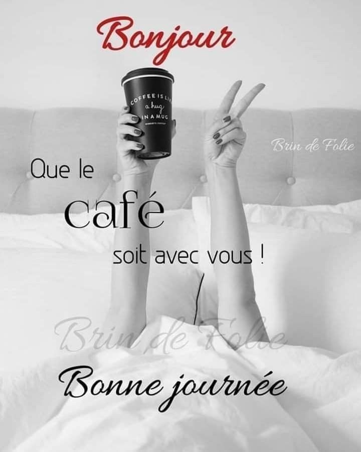 Un bon mardi, ici brumeux pour le moment mais il va faire chaud. Café du matin?☕️🥞🍒🇲🇫🌞🕶🌿🥀☘️🌷🏖😊