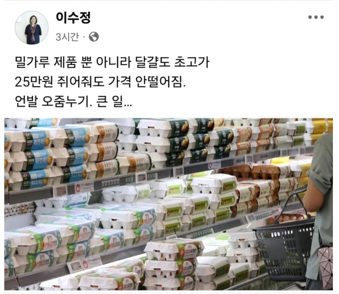 killykillyfore's tweet image. 이수정씨. 밀가루 달걀 초고가로 만든 사람이 윤석열입니다. 날마다 그것이 알고싶다 알고싶다 하더니 남들 다 아는것도 모르는 무식쟁이라서 그랬던 거구나??