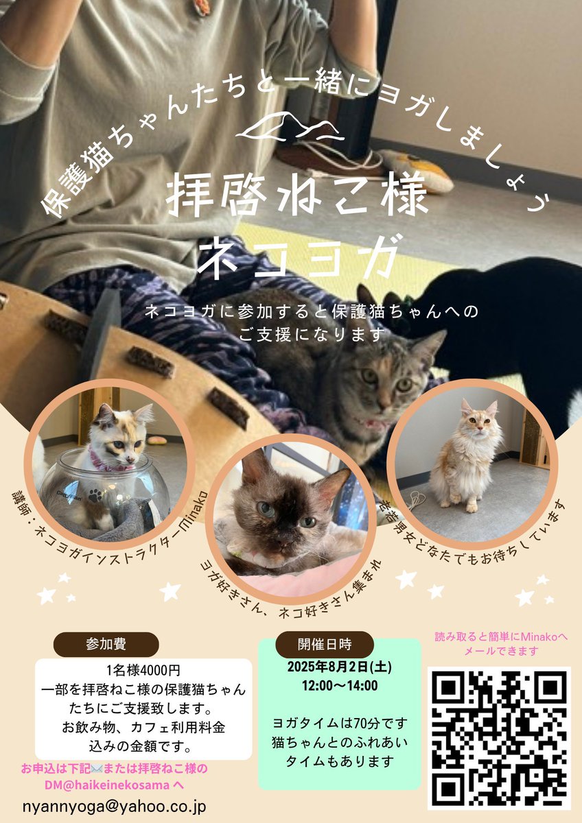 ねこ様専用 【公式通販】