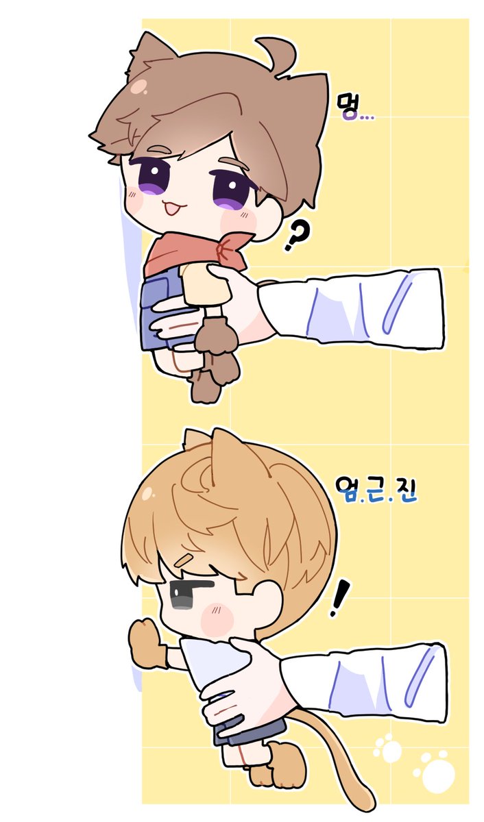 고양이 벽짚기 챌린지🐈