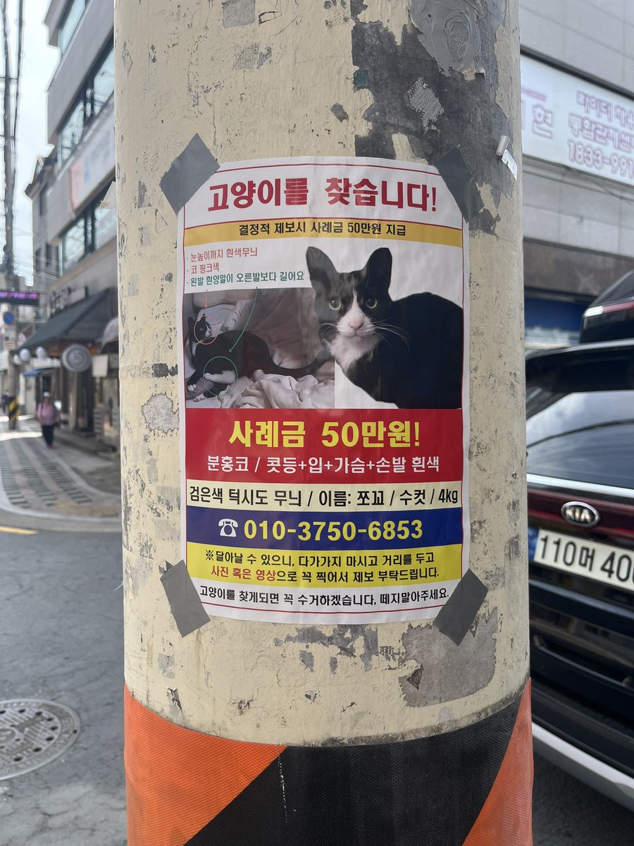 걷다가 고양이 쪼꼬를 찾는 전단지를 보았어요. 서울 노원구 상계동 일대입니다. 체리하우스의 아진이를 닮은 턱시도 냥이입니다. 쪼꼬의 얼굴 눈여겨봐주세요. 보호자는 얼마나 애가 탈까요ㅠㅠ
