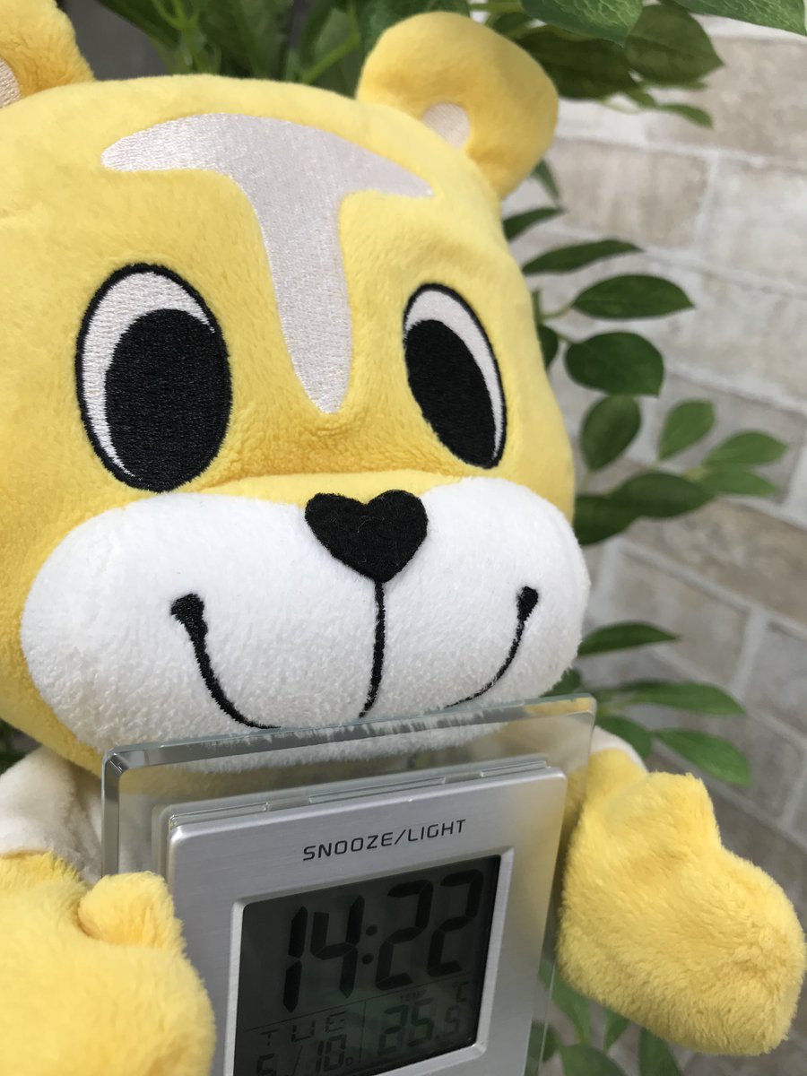 テッドくん SP TADAOチャンプ(ブルー) | ジェットヘルメット | 72JAM ジャム