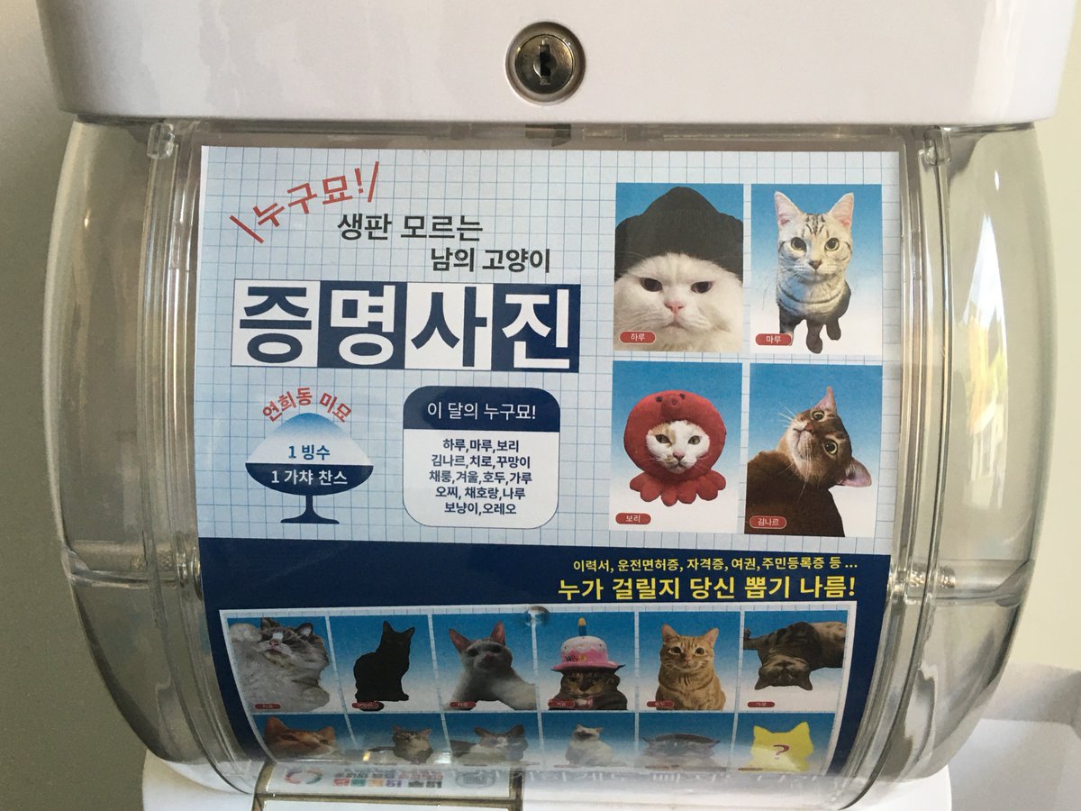 참외빙수가 이렇게 맛잇는건줄 몰랐어….