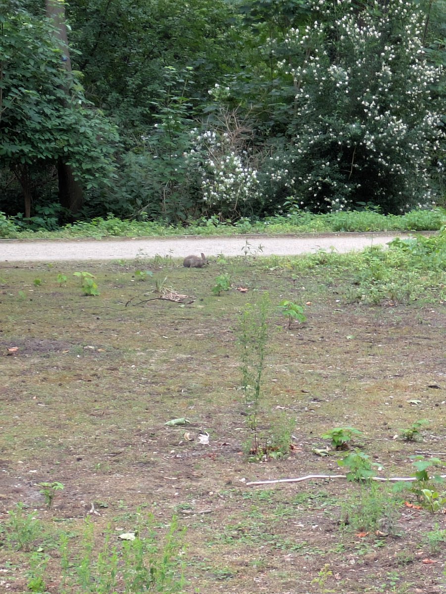 а я сяв в Берлине видела