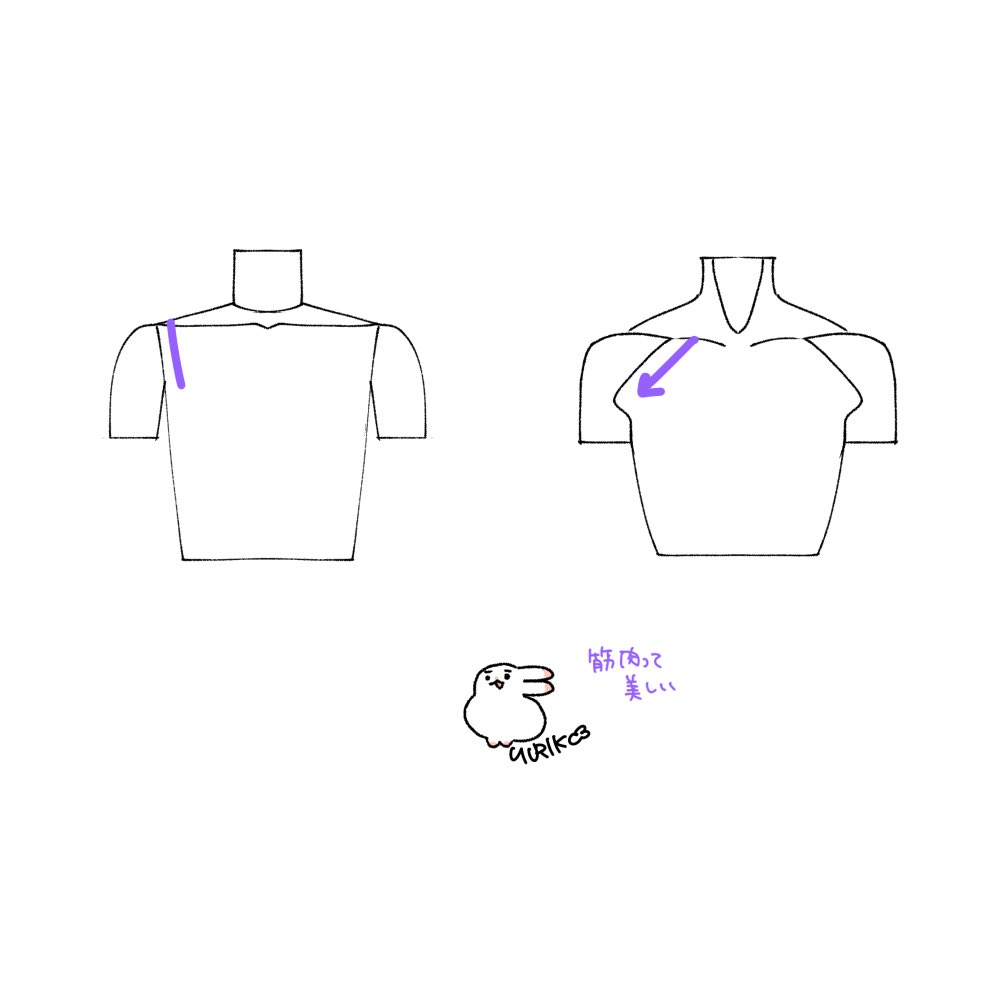 肩から腕のかたちmemo🐰