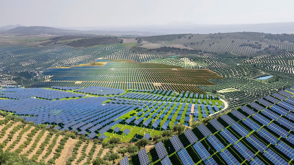🚨 La Junta de Andalucía está permitiendo que megaplantas fotovoltaicas arrasen olivares centenarios en la provincia de Jaén.

Nos oponemos con total rotundidad.

🌳 La transición energética debe llevarse a cabo respetando nuestro patrimonio natural.

📲 ciudadanos-cs.org/prensa/ciudada…
