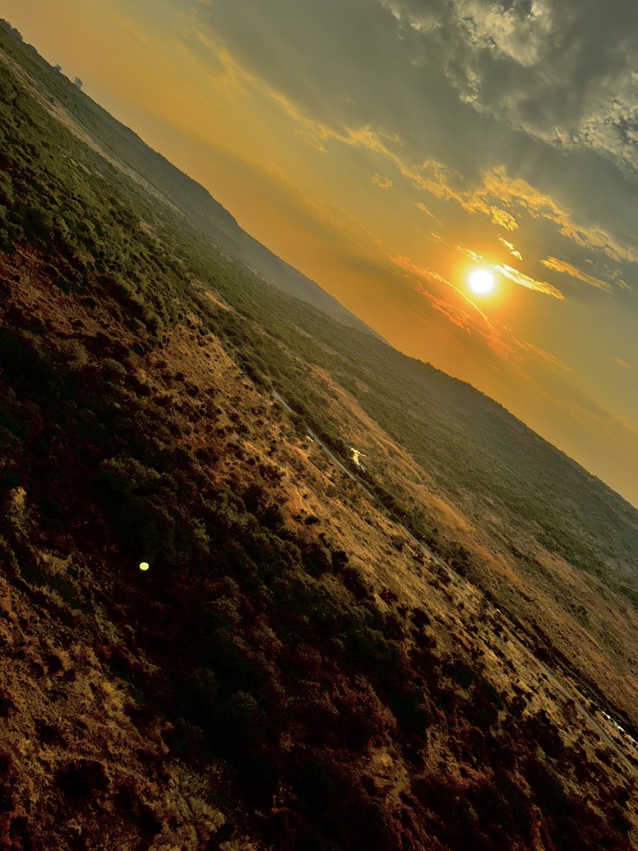 “As the sun dips low over the African plains, the sky ignites in hues of gold, amber, and fire. Silence stretches across the land, broken only by the distant call of wildlife. It’s a reminder that some of the most breathtaking moments are born in stillness. 🌅🧡 

#AfricanSunset