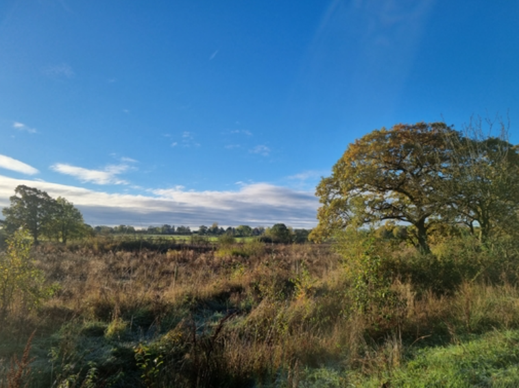 iCASP (@yorkshireicasp) on Twitter photo <a href="/WaterLANDS_EU/">WaterLANDS</a> <a href="/UniversityLeeds/">University of Leeds</a> <a href="/LeedsCC_News/">Leeds Council News</a> <a href="/EnvAgencyYNE/">Environment Agency - Yorkshire & North East</a> <a href="/BBCLeeds/">BBC Leeds</a> <a href="/UoLStudents/">Uni Leeds Students</a> <a href="/ERINNinnovation/">ERINN Innovation</a> <a href="/S_Mc_G/">Dr Shane Mc Guinness</a> <a href="/YorkshireWater/">Yorkshire Water 💧</a> <a href="/yorkshire_dales/">Yorkshire Dales National Park</a> <a href="/HydeParkPH/">Hyde Park Picture House</a> 3/4 Find out about bogs in Cumbria during the film event on Thurs 10 July, 7-9pm organised by Cumbria Wildlife Trust at Gosling Sike #BogFilmFest.
There will be introductions to the films & a Q&A session. Find out why peatlands matter & crucial work to restore them. <a href="/WaterLANDS_EU/">WaterLANDS</a> <a href="/UniversityLeeds/">University of Leeds</a> <a href="/LeedsCC_News/">Leeds Council News</a> <a href="/EnvAgencyYNE/">Environment Agency - Yorkshire & North East</a> <a href="/BBCLeeds/">BBC Leeds</a> <a href="/UoLStudents/">Uni Leeds Students</a> <a href="/ERINNinnovation/">ERINN Innovation</a> <a href="/S_Mc_G/">Dr Shane Mc Guinness</a> <a href="/YorkshireWater/">Yorkshire Water 💧</a> <a href="/yorkshire_dales/">Yorkshire Dales National Park</a> <a href="/HydeParkPH/">Hyde Park Picture House</a> 3/4 Find out about bogs in Cumbria during the film event on Thurs 10 July, 7-9pm organised by Cumbria Wildlife Trust at Gosling Sike #BogFilmFest.
There will be introductions to the films & a Q&A session. Find out why peatlands matter & crucial work to restore them.