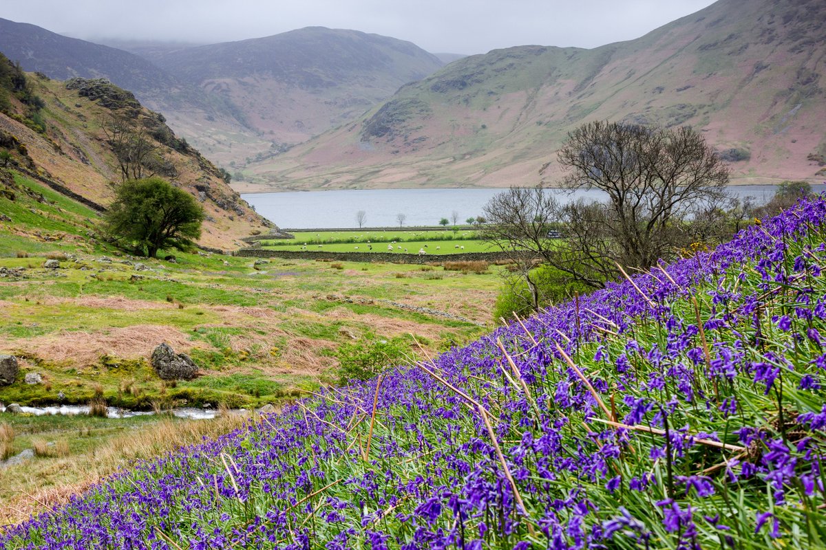 Have your say on the future of nature in Cumbria 🍃

Give your input to the public consultation before 22nd June!

consult.westmorlandandfurness.gov.uk/westmorland-an…

📸 Ade Gidney