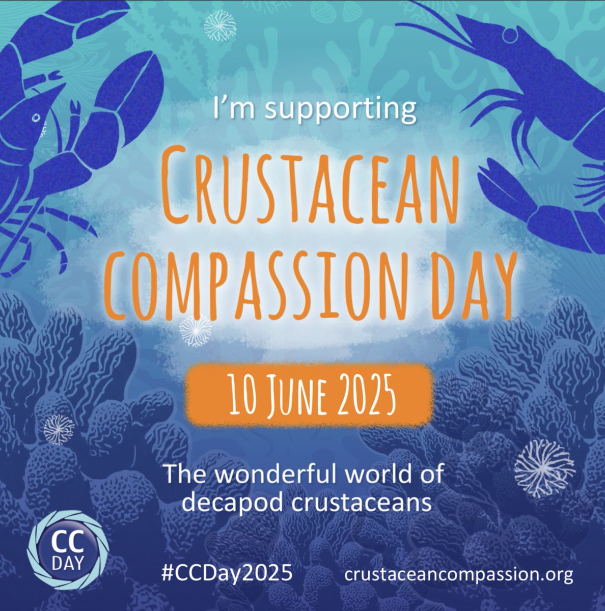 ConservativeAWF's tweet image. It’s #CrustaceanCompassionDay 
These sentient animals suffer being allowed to be sold online by retailers and mailed alive in the post. Many crabs and lobsters are dismembered while fully conscious or boiled alive. End this suffering  #CCDay2025
crustaceancompassion.org