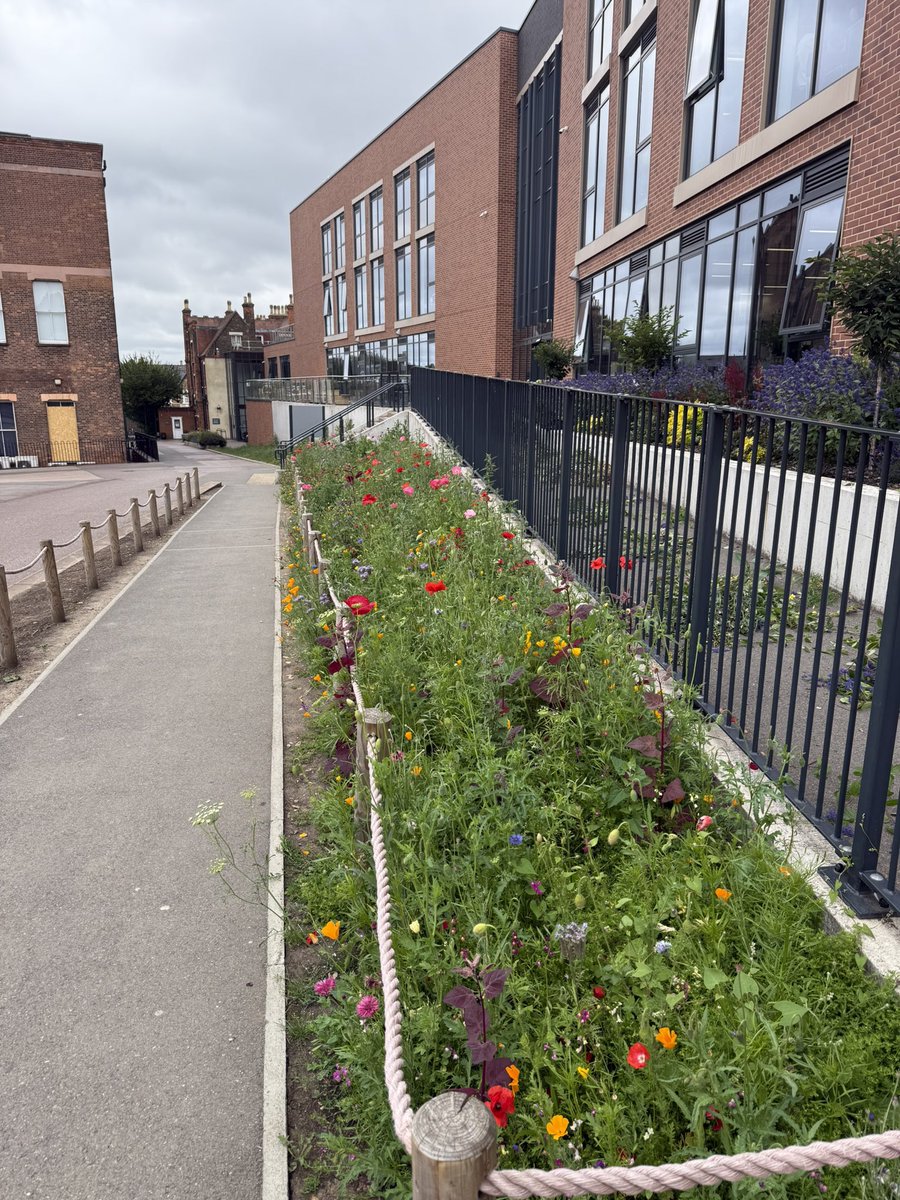 Louis Macklin tweet media