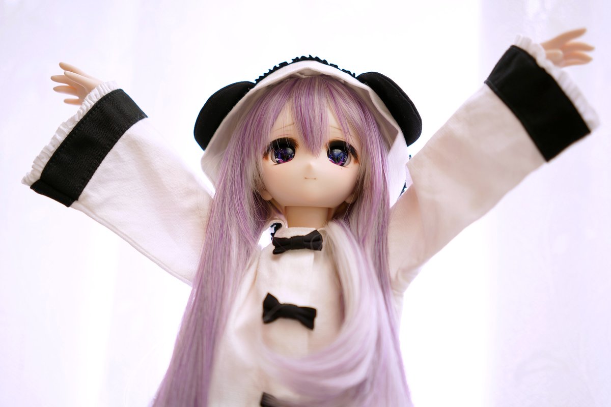 パンダと和解せよ🐊🐼🐊
#わにわっ娘
#みそのくに