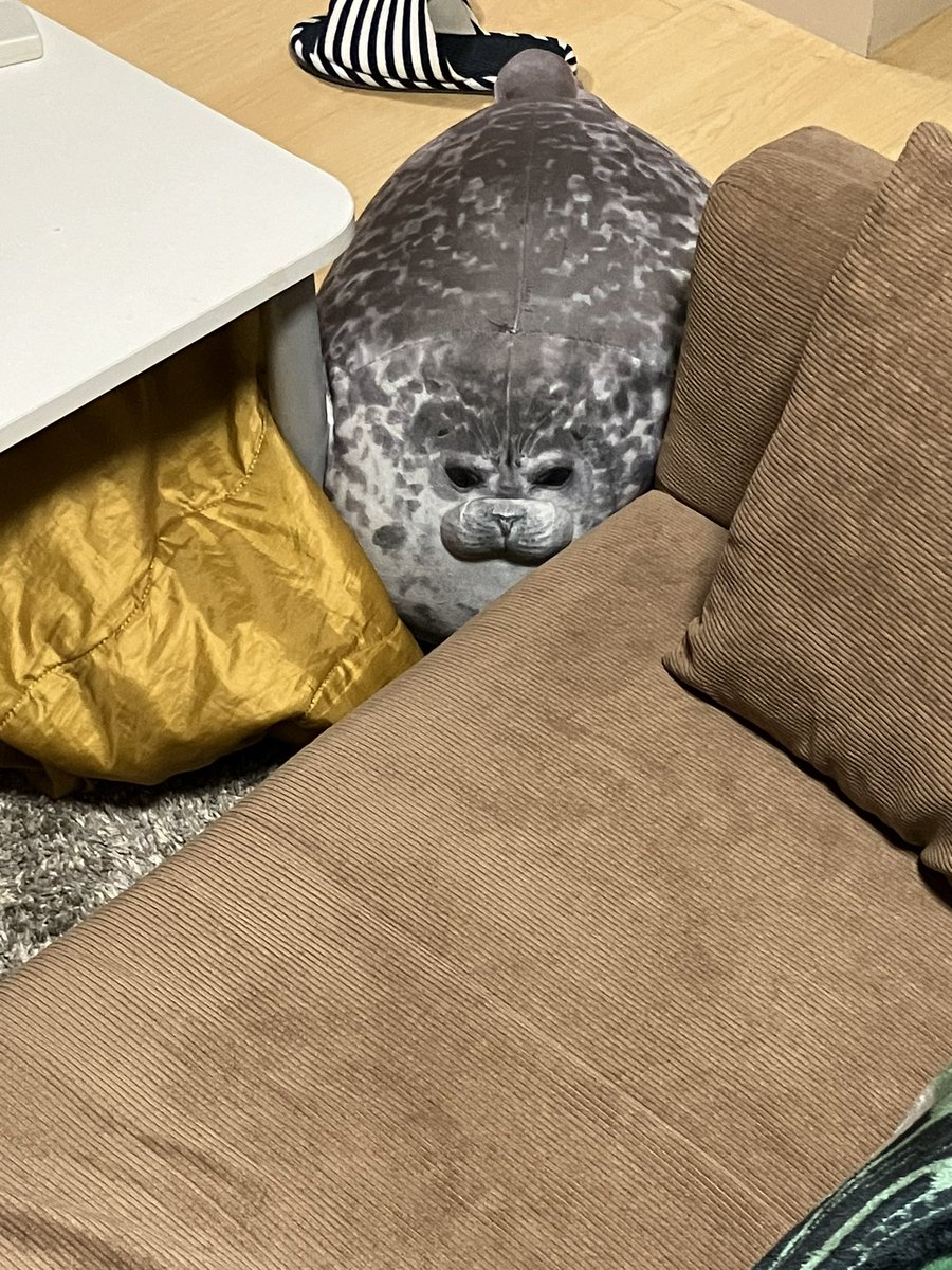 とり (@Hattori184) / Posts / X