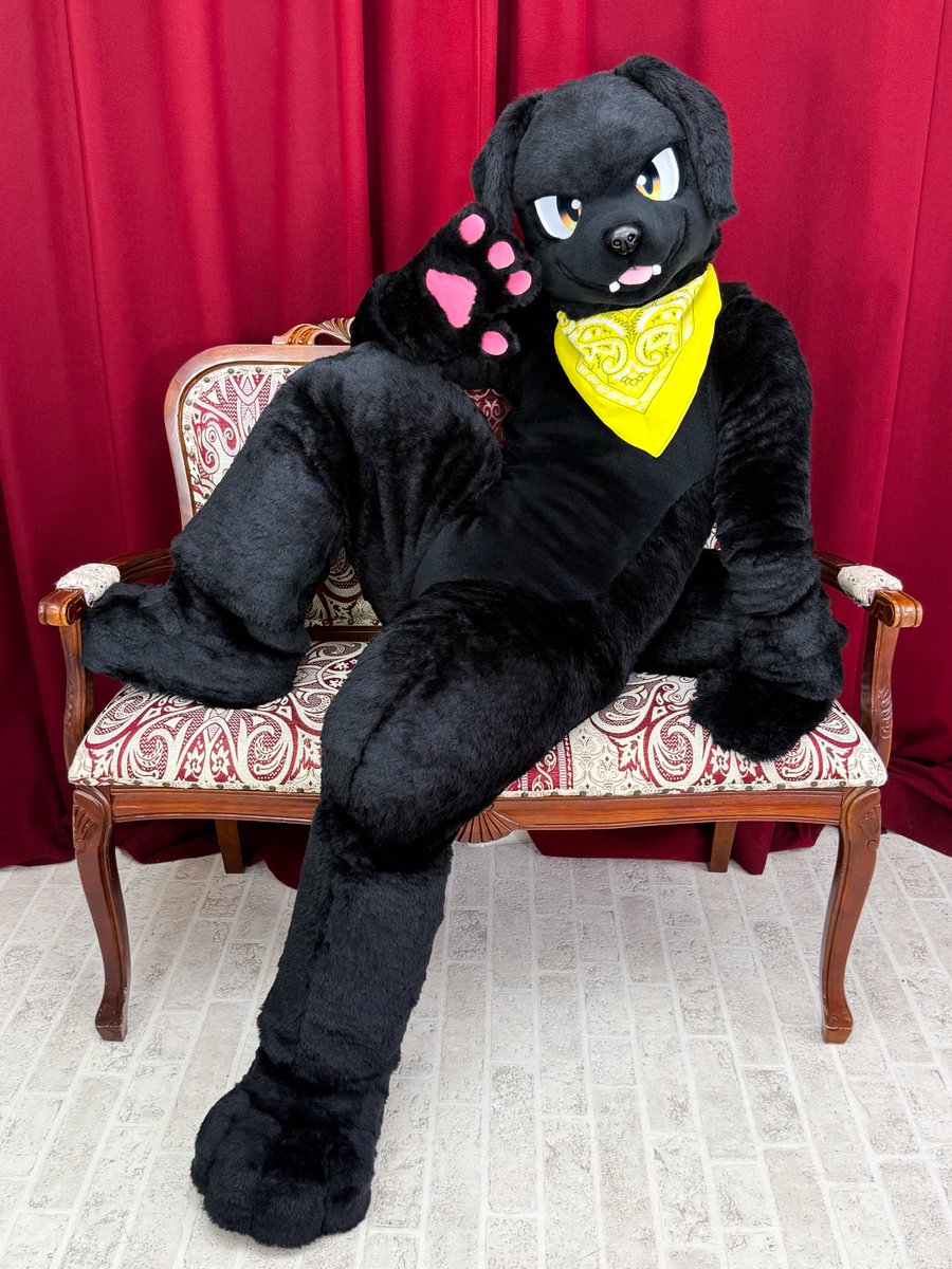 はじめまして、真っ黒ラブラドール・レトリーバーの『らぶ』です！

かわいがってね🐾