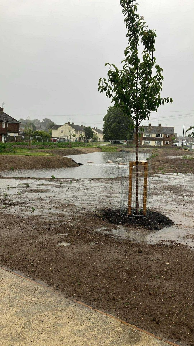 Recent rain put our new flood basin in Sittingbourne to the test and it delivered.

Before: Flat land, rain water pooling.
After: Rain water safely stored in basin, using underground pipes.

This is how we build community resilience. 
#FloodResilience #SustainableDrainage #SuDS