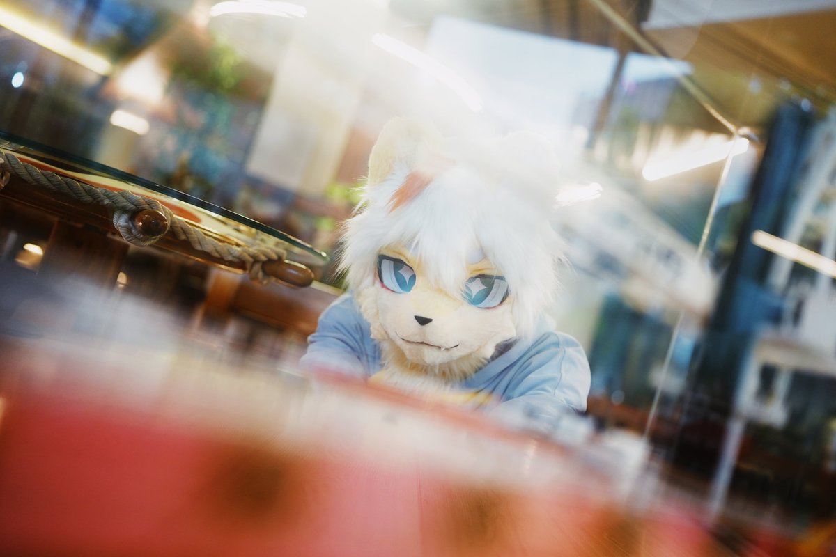 Ariel 🦁🔜関けも (@weeklyariel) on Twitter photo 