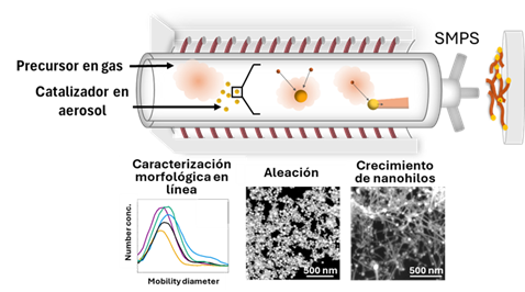 Thrilled to share that Dr. Isabel Gómez Palos will present her work “Síntesis en fase gas de nanoredes de nanohilos de SnO con catalizadores aerosolizados” at SECAT 2025, University of Alcalá de Henares on June 18, 2025. Join us for cutting-edge catalysis research! #SECAT2025