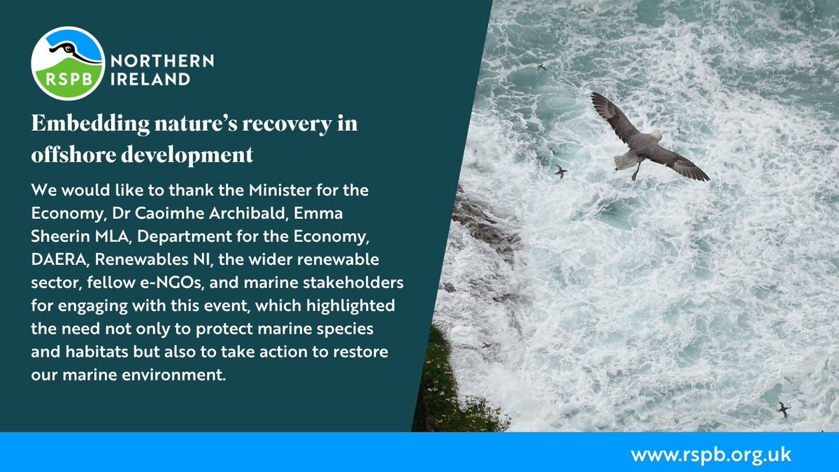 RSPB NI (@rspbni) on Twitter photo For #WorldOceansDay, RSPB NI hosted an event at Stormont to highlight the need to embed nature’s recovery in offshore planning. With 79% of people in NI believing new sea developments must not harm species or habitats, joined-up thinking is vital. For #WorldOceansDay, RSPB NI hosted an event at Stormont to highlight the need to embed nature’s recovery in offshore planning. With 79% of people in NI believing new sea developments must not harm species or habitats, joined-up thinking is vital.