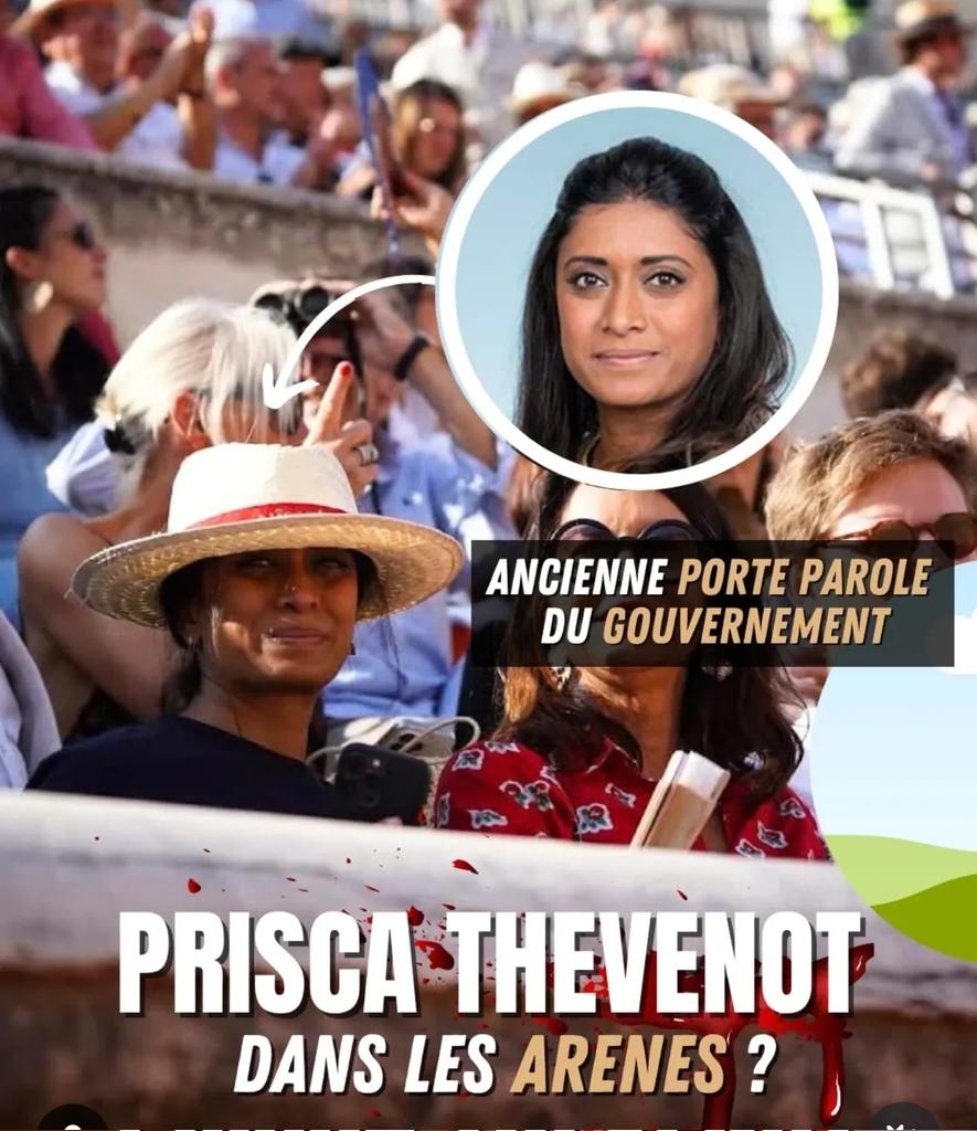 #PriscaThevenot dans les arènes de Nîmes le 7 juin 2025 ! 
Image indigne d'une personnalité publique nauséabonde ! A vomir 😡 🤢 🤮 🤮 🤮 🤮 🤮 
Via <a href="/futur_asso/">FUTUR</a>
instagram.com/p/DKt1RGoNweq/…