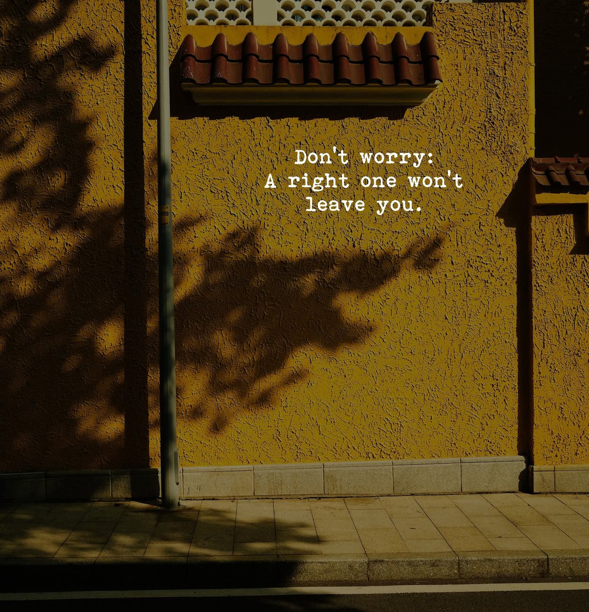 FreakyTheory's tweet image. This