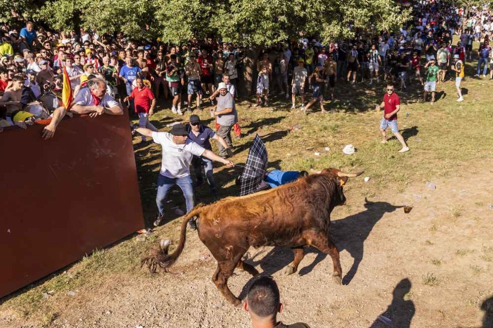 Con botellas, garrafas, alcoholizados para maltratar a los animales... Y quizá drogados hasta las cejas😵‍💫

Esto es lo que pasa en el "Lavalenguas" de #Soria cada año y lo que hemos denunciado por incumplir su propio reglamento.