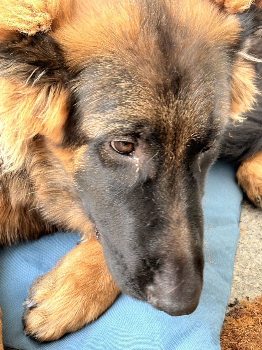 Il a raison Darmanin. Il faut une réponse pénale rapide et sévère.