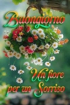 RITABIANCHi56 tweet media