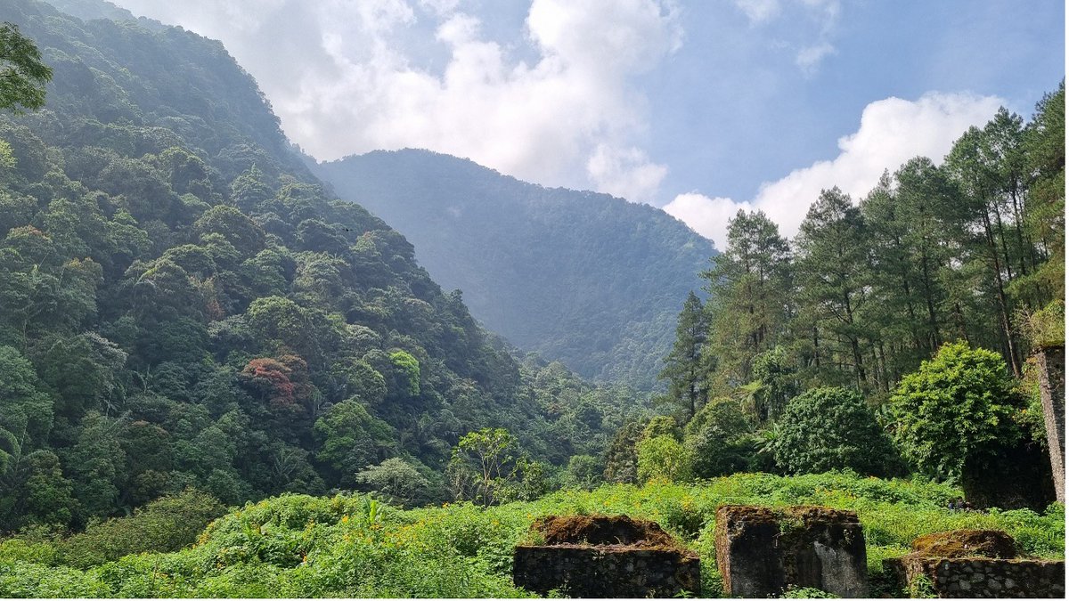 UNDP in Asia and the Pacific (@undpasiapac) on Twitter photo Indonesia is taking a bold leap forward to safeguard its rich biodiversity and natural resources. Led by the Indonesian Ministry of Forestry, with support from <a href="/UNDP/">UN Development</a> and <a href="/theGEF/">Global Environment Facility (GEF)</a>, two new projects aim to preserve landscapes of high conservation value in and around protected areas. Indonesia is taking a bold leap forward to safeguard its rich biodiversity and natural resources. Led by the Indonesian Ministry of Forestry, with support from <a href="/UNDP/">UN Development</a> and <a href="/theGEF/">Global Environment Facility (GEF)</a>, two new projects aim to preserve landscapes of high conservation value in and around protected areas.