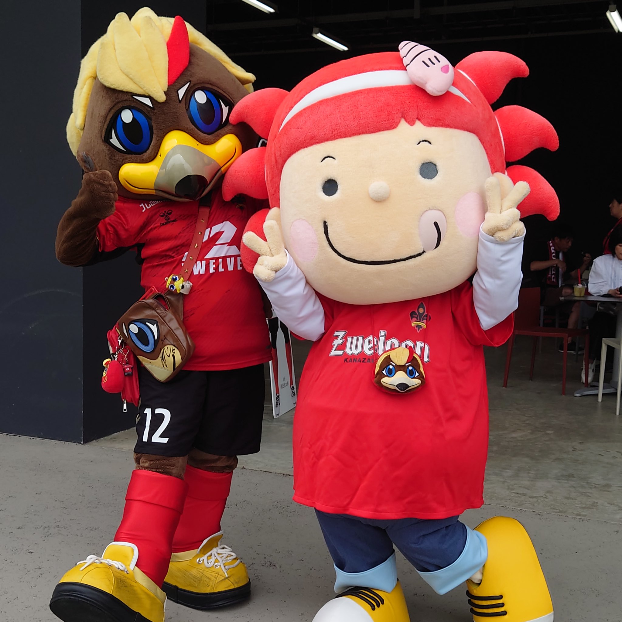 カツカツ君 CHIKYU CHIKYU×ツエーゲン金沢コラボランドセル – FUKUFUKULAND